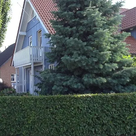 Alleblas Daire Geldern